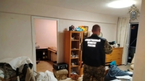 Трагедия на Чайковского: в Благовещенске задержана мать по подозрению в убийстве сына - gtrkamur.ru