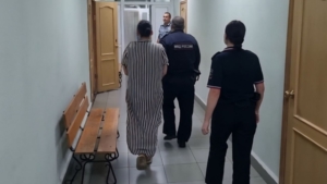 Суд арестовал мать, обвиняемую в убийстве сына в Благовещенске - gtrkamur.ru
