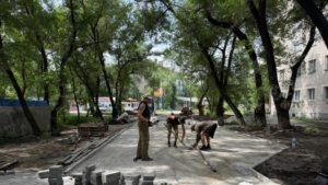 В Белогорске завершают благоустройство третьей очереди Аллеи молодёжи - gtrkamur.ru