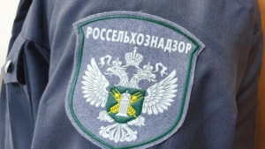 За нарушения в содержании скота амурскому фермеру грозит штраф - gtrkamur.ru