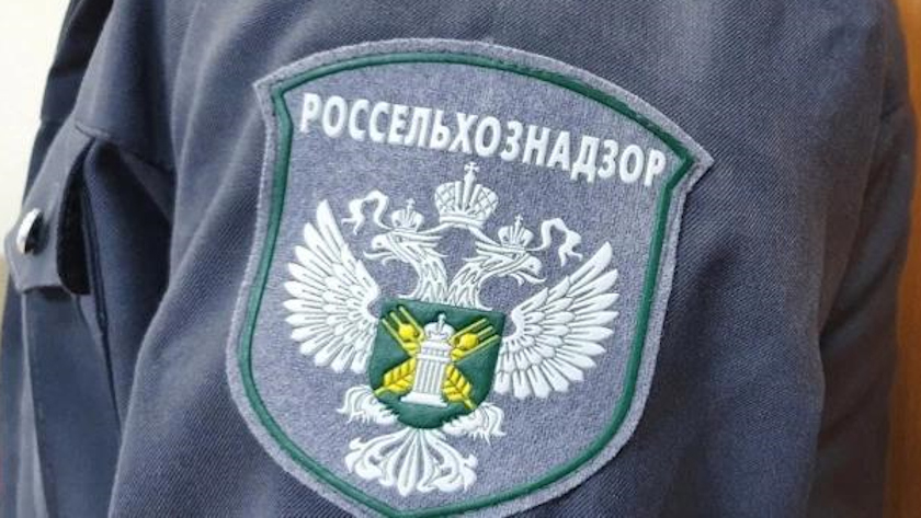 За нарушения в содержании скота амурскому фермеру грозит штраф - gtrkamur.ru