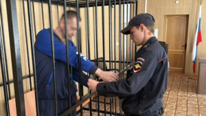 Пьяный водитель на «Волге» насмерть сбил девушку в Ивановском районе и получил 8,5 лет колонии - gtrkamur.ru