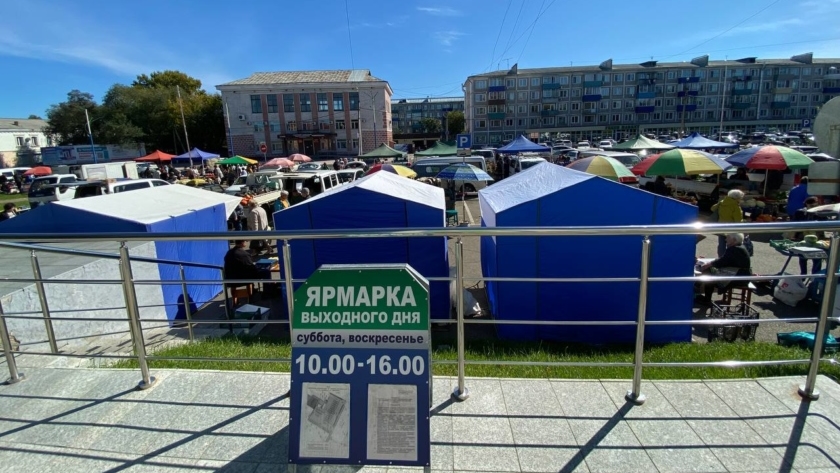 Мёд, мясо и саженцы по сниженным ценам: в Белогорске работает ярмарка - gtrkamur.ru