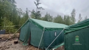 На прииске в Приамурье полиция нашла 14 нелегалов - gtrkamur.ru