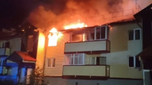 В Амурской области за сутки потушили семь пожаров: в Тынде погибла женщина - gtrkamur.ru