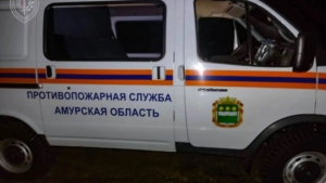 В Амурской области спасли пенсионерку, заблудившуюся в лесу - gtrkamur.ru