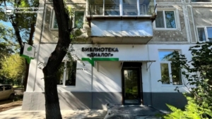 В Благовещенске откроется библиотека с акцентом на молодых мам - gtrkamur.ru