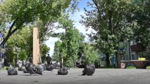В Белогорске достроили «Аллею молодёжи» - gtrkamur.ru