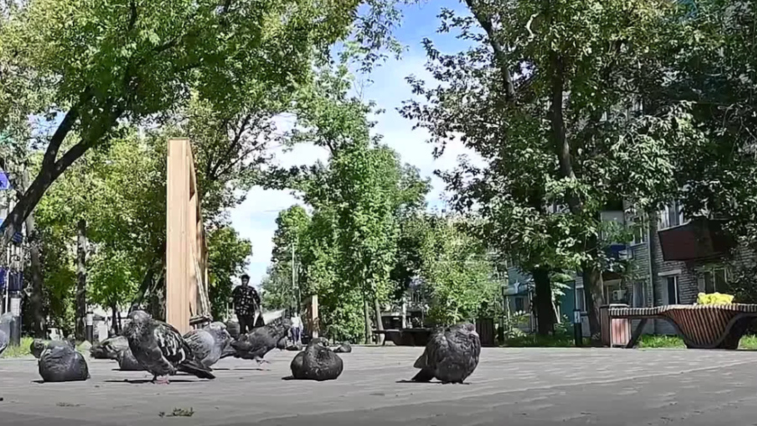 В Белогорске достроили «Аллею молодёжи» - gtrkamur.ru