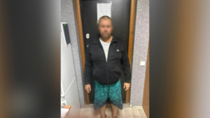 Померанского шпица за 80 тысяч продал за три: в Благовещенске раскрыли кражу породистой собаки - gtrkamur.ru