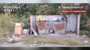 Народный фронт взял на контроль ситуацию с вывозом мусора в Завитинске - gtrkamur.ru