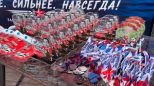 Памяти павших за Родину: 26 пловцов из России и Китая преодолели "Зейскую милю" в холодной воде - gtrkamur.ru