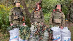 Волонтёры Октябрьского округа получили благодарность от бойцов с передовой - gtrkamur.ru