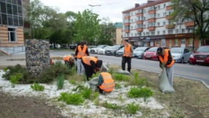 ГСТК предложил студентам и выпускникам Благовещенска работу в шести направлениях - gtrkamur.ru