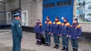 В Архаринском округе ищут пропавшую 70-летнюю женщину: обследовано 85 квадратных километров - gtrkamur.ru