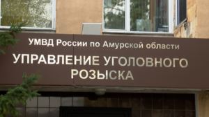 100% раскрываемости: как уголовный розыск Амурской области справляется с убийствами и кражами - gtrkamur.ru