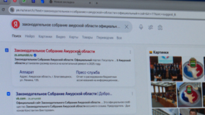 Влияй на бюджет Приамурья: Заксобрание открыло общественные слушания по финансам на 2027 год - gtrkamur.ru
